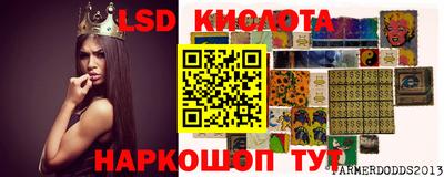 кокс Гатчина