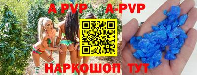 кокс Гатчина