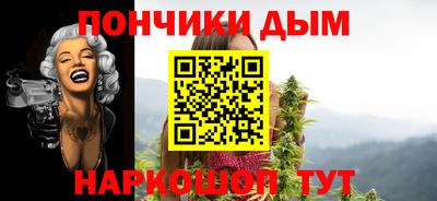 кокс Гатчина