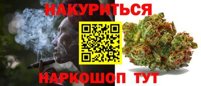 кокс Гатчина