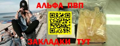 кокс Гатчина