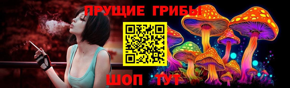 Ногинск  Псилоцибиновые грибы MAGIC MUSHROOMS  Вход с VPN 