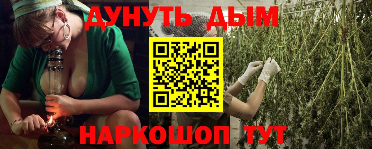 Канабис гибрид Ногинск